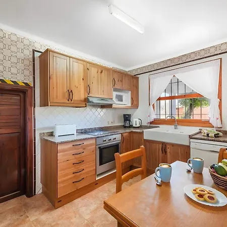 Palmera Vila Pollença