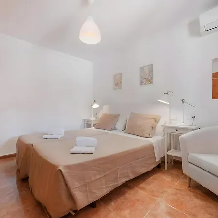Palmera