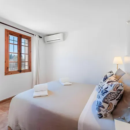 Palmera Vila Pollença