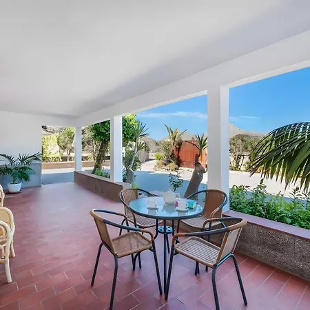Palmera Vila Pollença